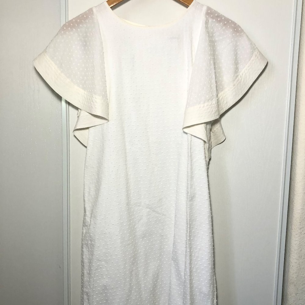 J Crew Flounce Sleeve Swiss Dot Dress